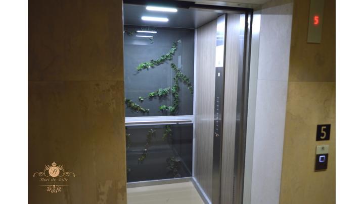Flori De Iulie Apartamente Брашов Экстерьер фото